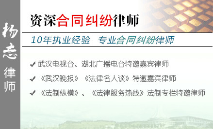 楊志,恩施合同糾紛律師